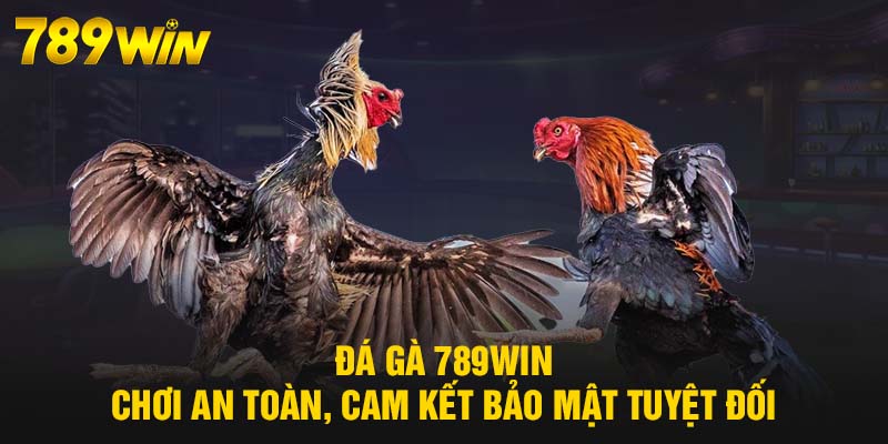 Đá Gà 789WIN - Cá Cược Sôi Động, Hấp Dẫn Từng Phút Giây 4 Đá Gà 789WIN chơi an toàn, cam kết bảo mật tuyệt đối