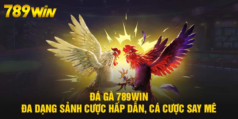 Đá Gà 789WIN - Cá Cược Sôi Động, Hấp Dẫn Từng Phút Giây 5 Đá Gà 789WIN đa dạng sảnh cược hấp dẫn, cá cược say mê