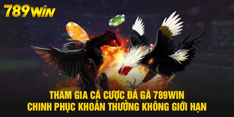 Đá Gà 789WIN - Cá Cược Sôi Động, Hấp Dẫn Từng Phút Giây 6 Tham gia cá cược Đá Gà 789WIN chinh phục khoản thưởng không giới hạn